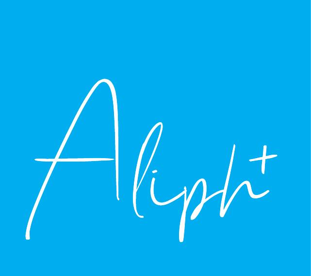Website developer